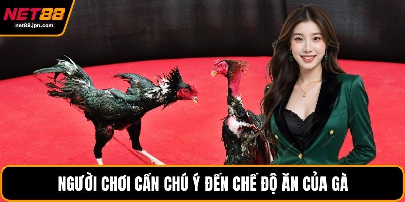 Người chơi cần chú ý đến chế độ ăn của gà 